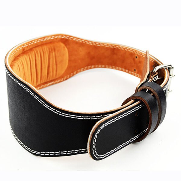6 inch padded weightlifting belt for lower back support tx1607
