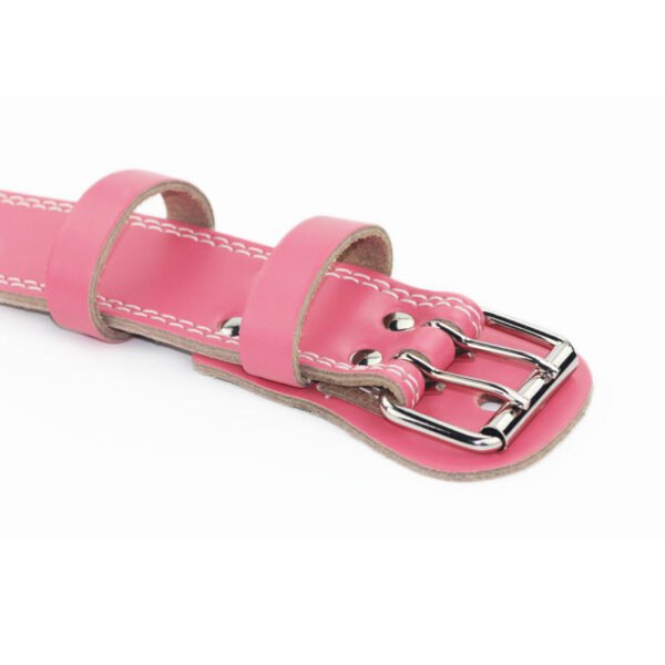 professional powerlifting belt for strength training tx1608